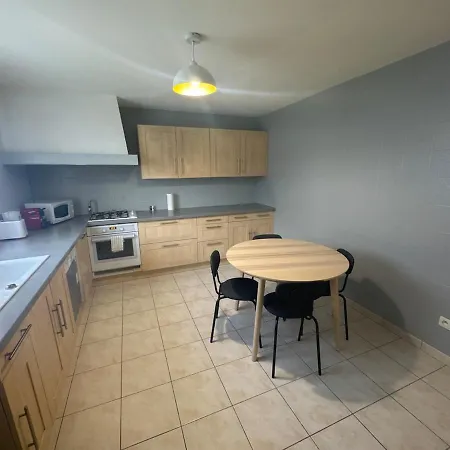 Apartment 130m T4 Garden And Car Parks - Stade-eurexpo-lyon *